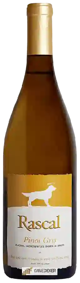 Weingut Rascal - Pinot Gris Weingut Rascal - Pinot Gris