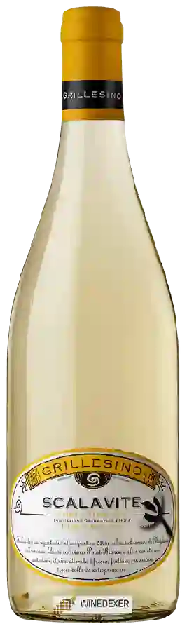 Weingut Grillesino - Scalavite Maremma Toscana Weingut Grillesino - Scalavite Maremma Toscana