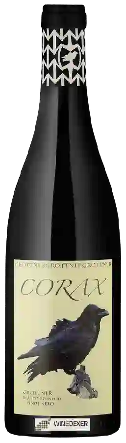 Weingut Grottner - Corax Blauburgunder Weingut Grottner - Corax Blauburgunder