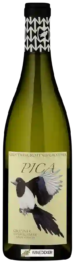 Weingut Grottner - Pica Weissburgunder Weingut Grottner - Pica Weissburgunder