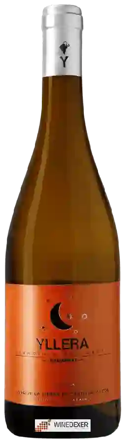 Weingut Yllera - Chardonnay Vendimia Nocturna