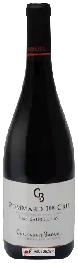 Weingut Guillaume Baduel - Pommard 1er Cru 'Les Saussilles'