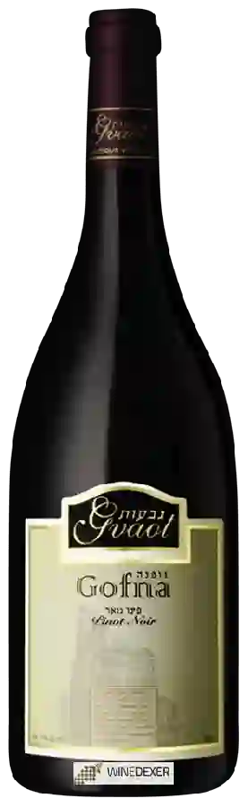 Weingut Gva'ot - Gofna Pinot Noir Weingut Gva'ot - Gofna Pinot Noir