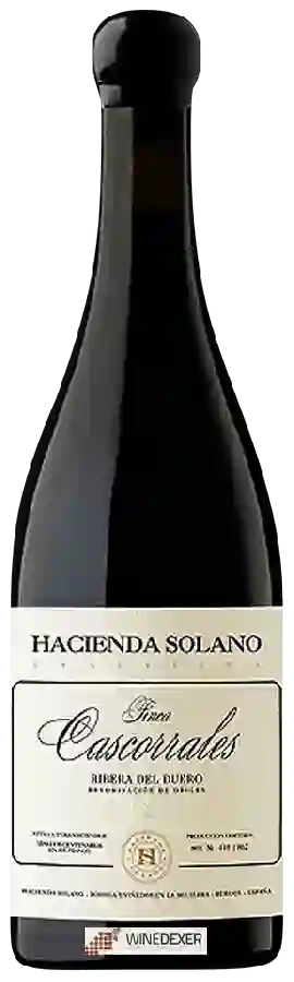 Weingut Hacienda Solano - Finca Cascorrales Weingut Hacienda Solano - Finca Cascorrales