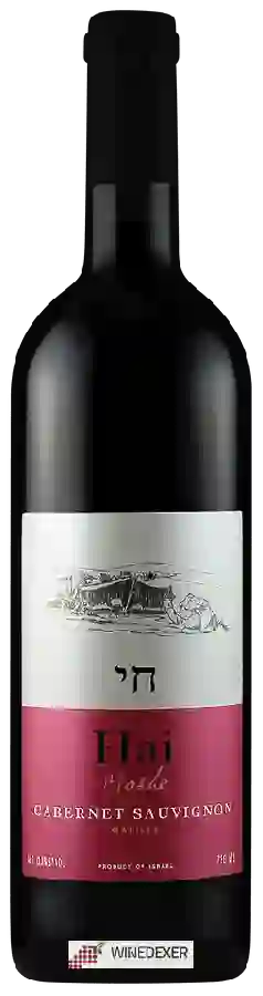 Weingut Hai - Moshe Cabernet Sauvignon Weingut Hai - Moshe Cabernet Sauvignon