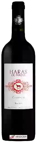 Weingut Haras de Pirque - Carmenère Reserva