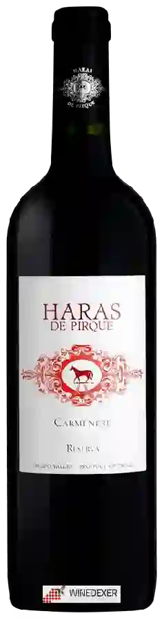 Weingut Haras de Pirque - Carmenère Reserva