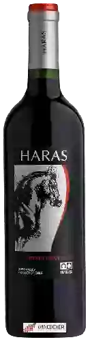 Weingut Haras de Pirque - Haras Cabernet Sauvignon