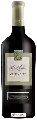 Château Haut Gleon - Carthagène Vin de Liqueur Rouge