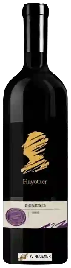 Weingut Hayotzer - Genesis Shiraz