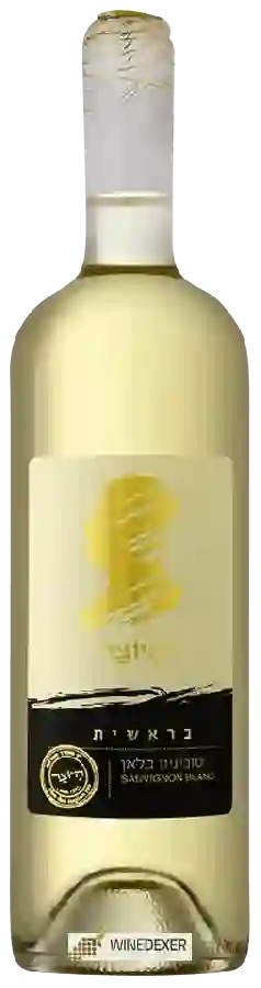 Weingut Hayotzer - Sauvignon Blanc