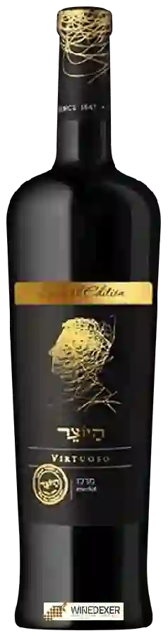 Weingut Hayotzer - Special Edition Virtuoso Merlot