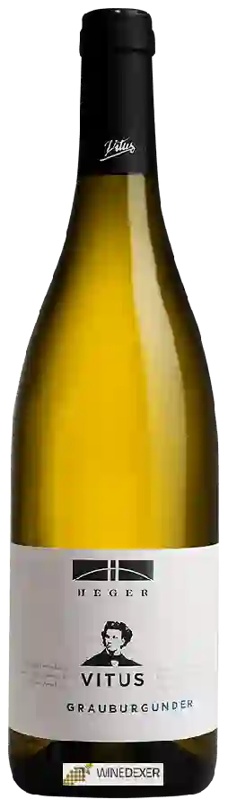 Weingut Heger - Vitus Grauburgunder Weingut Heger - Vitus Grauburgunder
