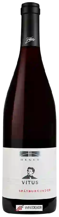 Weingut Heger - Vitus Spätburgunder