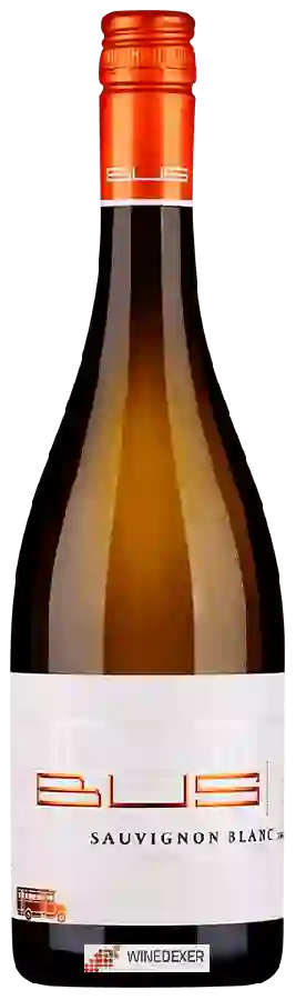 Weingut Heinz Bus & Sohn - Sauvignon Blanc Trocken
