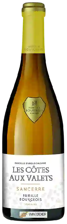 Weingut Henri Bourgeois - Les Côtes aux Valets Sancerre Blanc