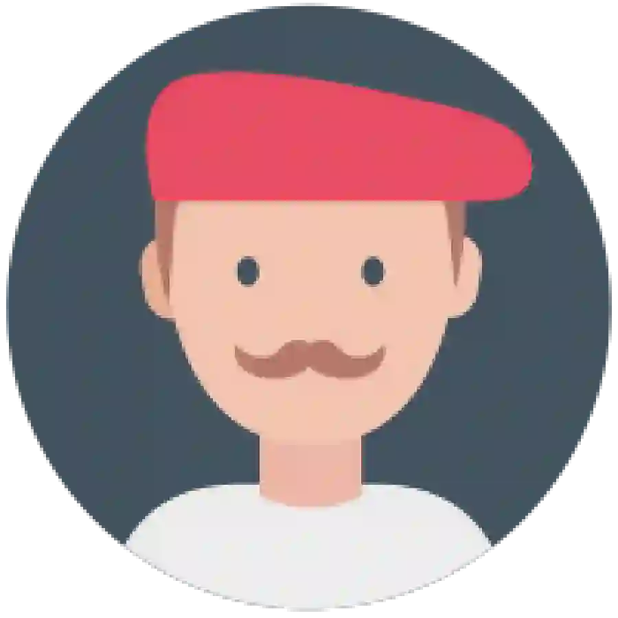 Weingut Henry Fessy - Château des Reyssiers Beaujolais Villages Nouveau