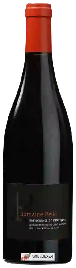 Weingut Henry Pellé - Menetou-Salon Morogues Rouge