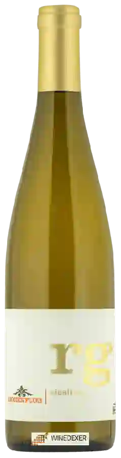 Weingut Hensel - Höhenflug Riesling Weingut Hensel - Höhenflug Riesling