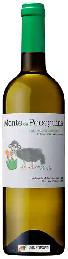 Weingut Malhadinha Nova - Alentejano Monte da Peceguina Branco