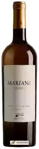Weingut Herdade do Rocim - Mariana Branco