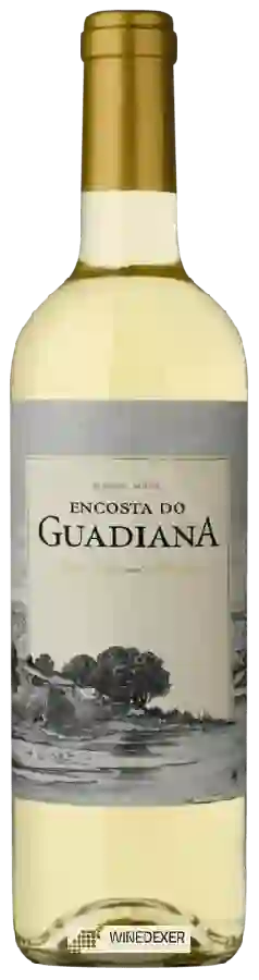 Weingut Herdade Paço do Conde - Encosta do Guadiana Branco Weingut Herdade Paço do Conde - Encosta do Guadiana Branco