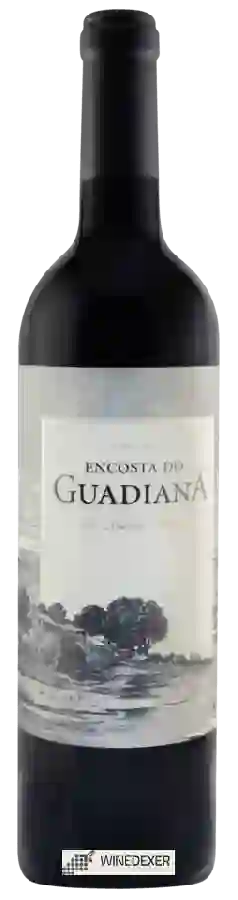 Weingut Herdade Paço do Conde - Encosta do Guadiana Tinto Weingut Herdade Paço do Conde - Encosta do Guadiana Tinto