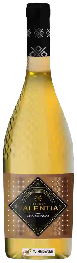 Weingut Heredad Valentia - Chardonnay