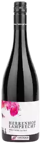 Weingut Herrenhof Lamprecht - Pinot Noir vom Opok