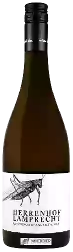 Weingut Herrenhof Lamprecht - Sauvignon Blanc Silt & Kies