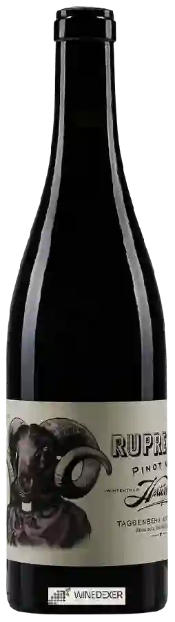 Weingut Herterwein - Ruprecht Pinot Noir Weingut Herterwein - Ruprecht Pinot Noir