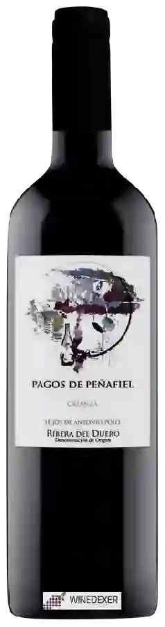 Weingut Hijos de Antonio Polo - Pagos de Peñafiel Crianza