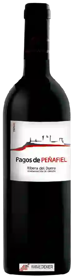 Weingut Hijos de Antonio Polo - Pagos de Peñafiel Selection Weingut Hijos de Antonio Polo - Pagos de Peñafiel Selection