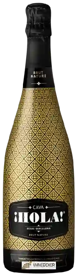 Weingut Hola - Cava Brut Nature Weingut Hola - Cava Brut Nature