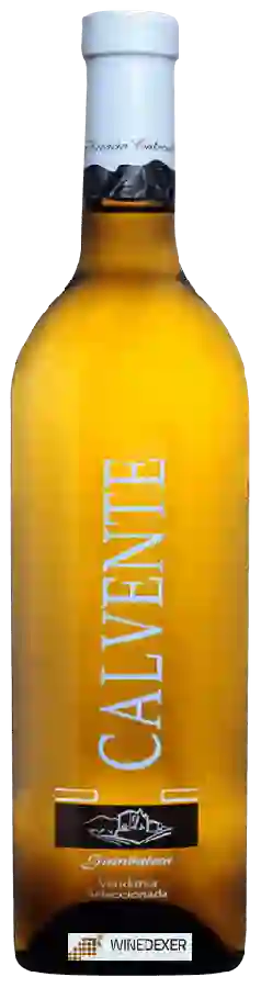 Weingut Horacio Calvente - Guindalera