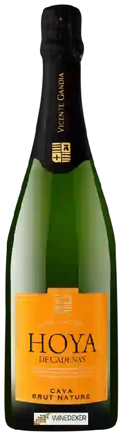 Weingut Hoya de Cadenas - Cava Brut Nature Weingut Hoya de Cadenas - Cava Brut Nature