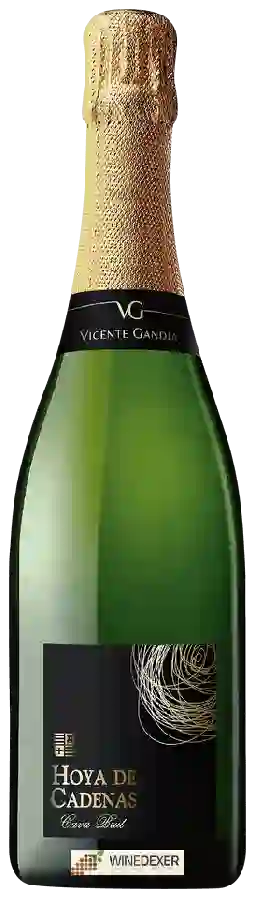 Weingut Hoya de Cadenas - Cava Brut Weingut Hoya de Cadenas - Cava Brut