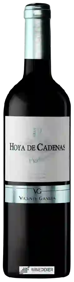 Weingut Hoya de Cadenas - Merlot Weingut Hoya de Cadenas - Merlot