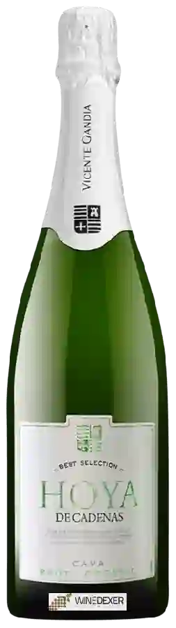 Weingut Hoya de Cadenas - Organic Cava Brut