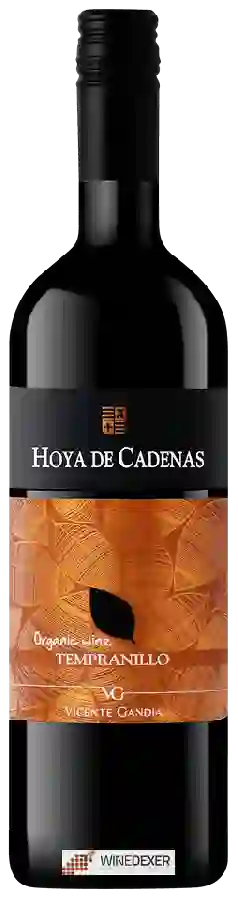Weingut Hoya de Cadenas - Organic Tempranillo Weingut Hoya de Cadenas - Organic Tempranillo