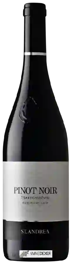 Weingut St.Andrea - Csakegyszóval Pinot Noir Weingut St.Andrea - Csakegyszóval Pinot Noir