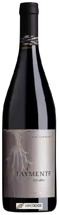 Weingut Huarpe - Taymente Bonarda