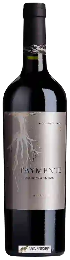 Weingut Huarpe - Taymente Cabernet Sauvignon Weingut Huarpe - Taymente Cabernet Sauvignon