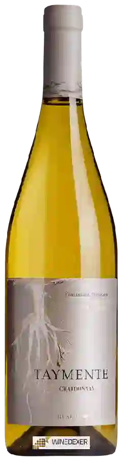 Weingut Huarpe - Taymente Chardonnay