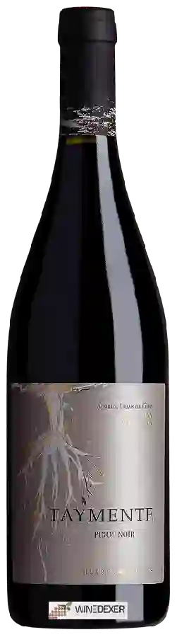 Weingut Huarpe - Taymente Pinot Noir