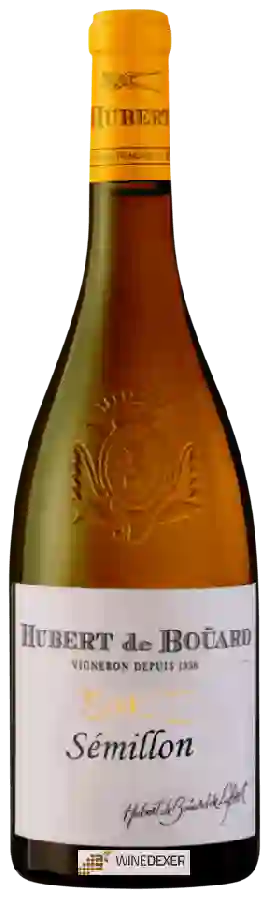 Weingut Hubert de Bouard - Sémillon Weingut Hubert de Bouard - Sémillon