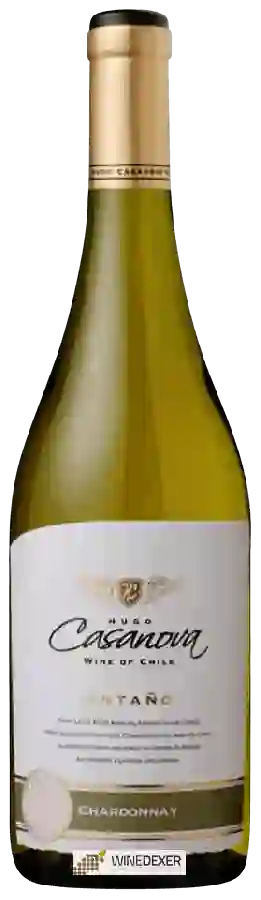 Weingut Hugo Casanova - Antaño Chardonnay