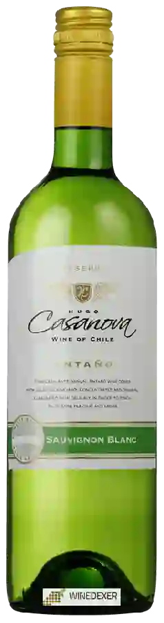 Weingut Hugo Casanova - Antaño Sauvignon Blanc Reserve