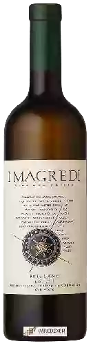 Weingut I Magredi - Friulano