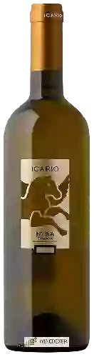 Weingut Icario - Nysa